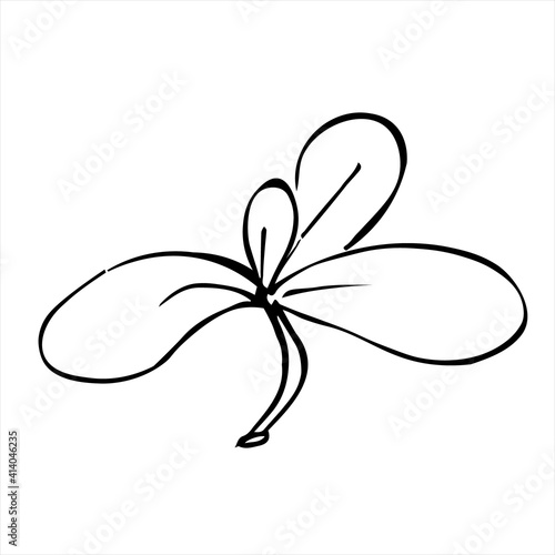 Floral Decoration Branch Leaf Plant Line Stroke