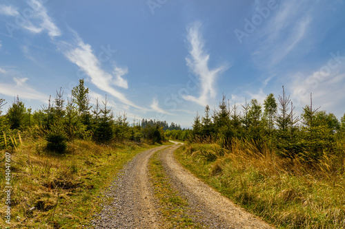 Lonely forest path in the Sauerland