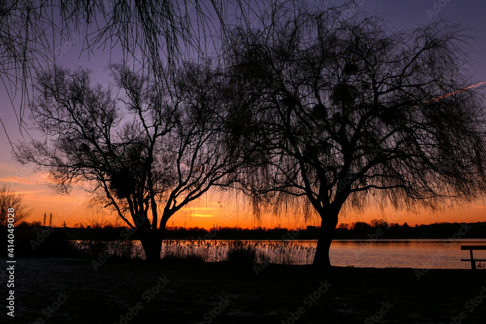 Beautiful sunset or sunrise with view on a lake. Rural scene with silhouette of weeping willow in the foreground. 