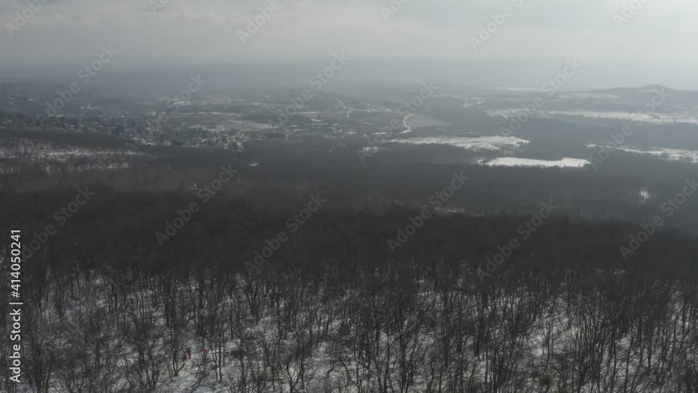 Aerial view of winter snowy european forest. Aerial view of winter snowy european forest.