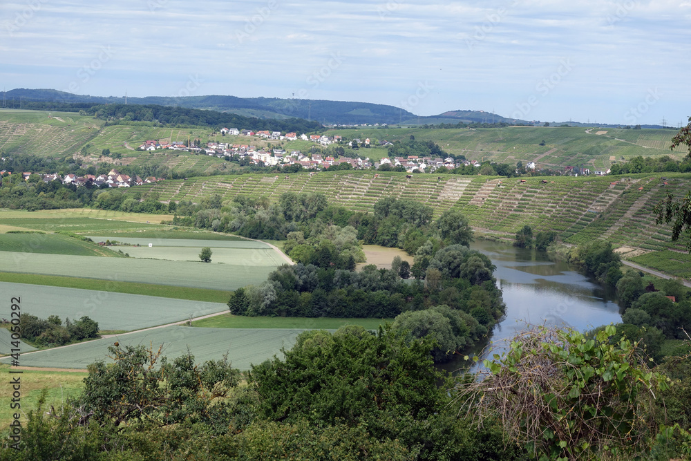 Obraz premium Blick von den Hessigheimer Felsengärten zum Neckar
