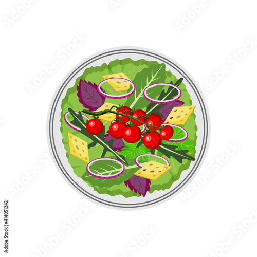 Top view on salad bowl with lettuce and cheese flat vector illustration isolated.