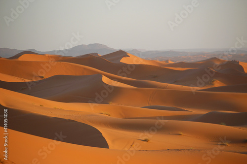 Sand dunes in the desert  Merzouga 