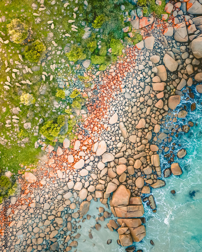 Aerial view of a herd of Sheeps grazing along  Cape Willoughby coastal on Kangaroo island acing the Great Australian Bight, South Australia, Australia. photo