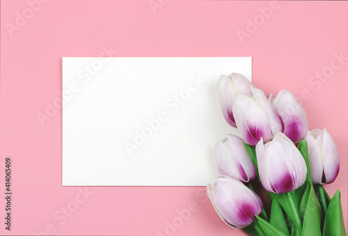 Fototapeta Naklejka Na Ścianę i Meble -  flat lay of purple and white  tulip flowers and blank paper card  on pink background with copy space for text. Feminine concept.