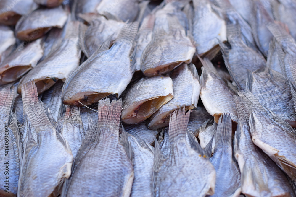 Dried Tilapia for Sale