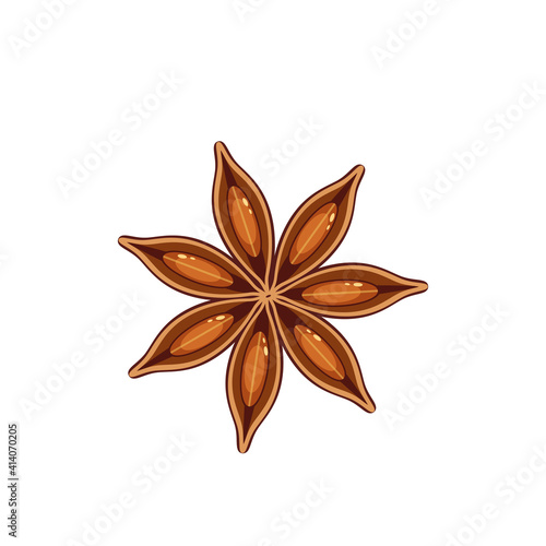 Star anise. Vector illustration of cartoon flat icon isolated on white background.