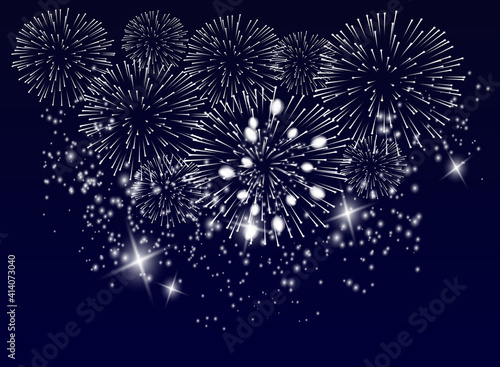 Vector Brightly Colorful Fireworks on the background of the night sky.