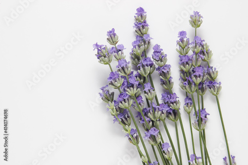 Fototapeta Naklejka Na Ścianę i Meble -  bouquet of lavender on a light background