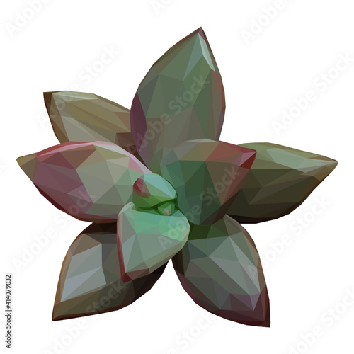 Geometrical illustration of a tiny pink green succulent
