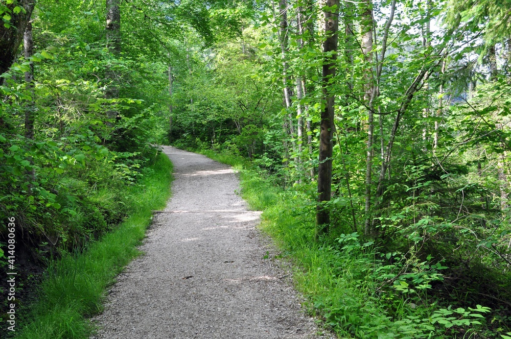 Fototapeta premium Ramsau im Berchtesgadener Land