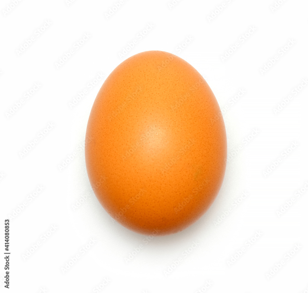fresh chicken egg fresh chicken egg