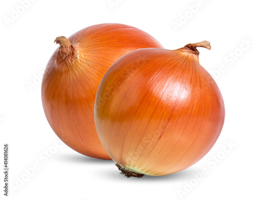 Wallpaper Mural onion isolated on white background Torontodigital.ca