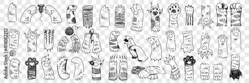 Animal paws with claws doodle set. Collection of hand drawn paws of cats and dogs of various shape with claws trying to catch mouse and playing isolated on transparent background in rows 