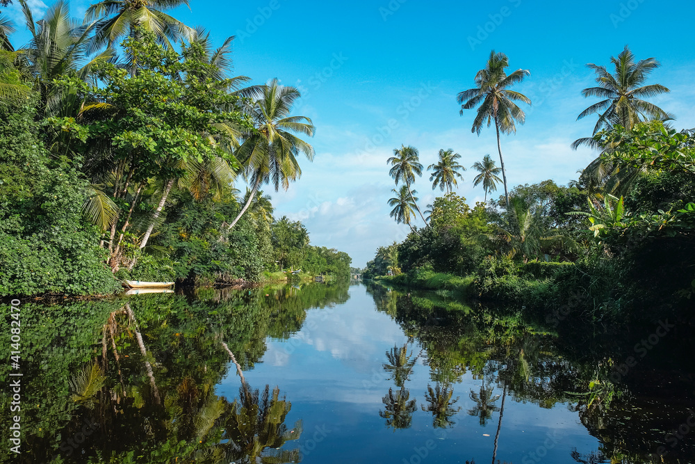 Obraz premium tropical river with palm tree reflections, hamilton canal, negombo lagoon , sri lanka 