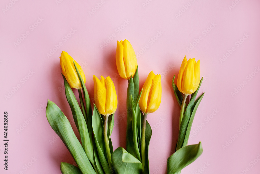 A bouquet of yellow tulips on a pink background with space for text. Top view. Valentine's Day, Women's Day, Mother's Day A bouquet of yellow tulips on a pink background with space for text. Top view. Valentine's Day, Women's Day, Mother's Day