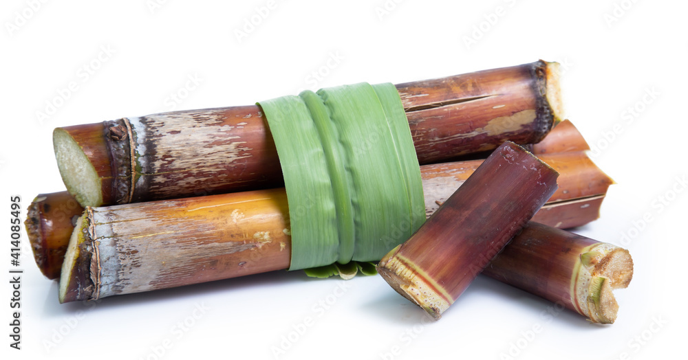 sugarcane isolated on white background clipping path