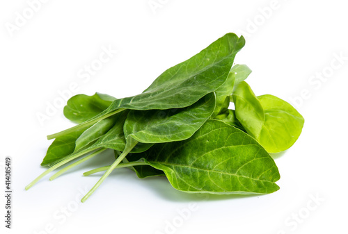 spinach isolated on white background clipping path