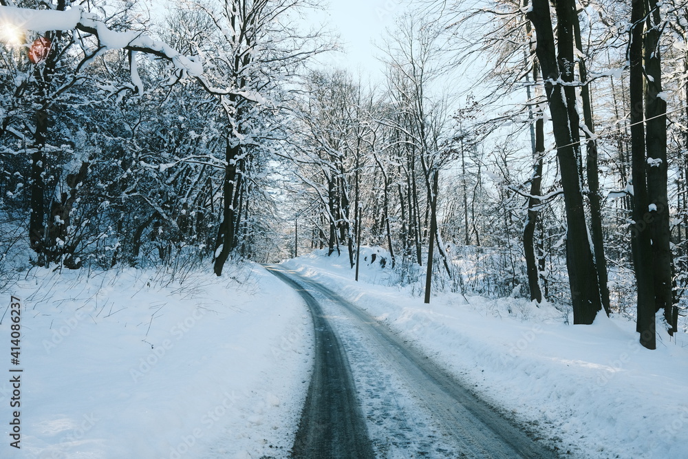 Verschneite Straße im winterlichen Wald