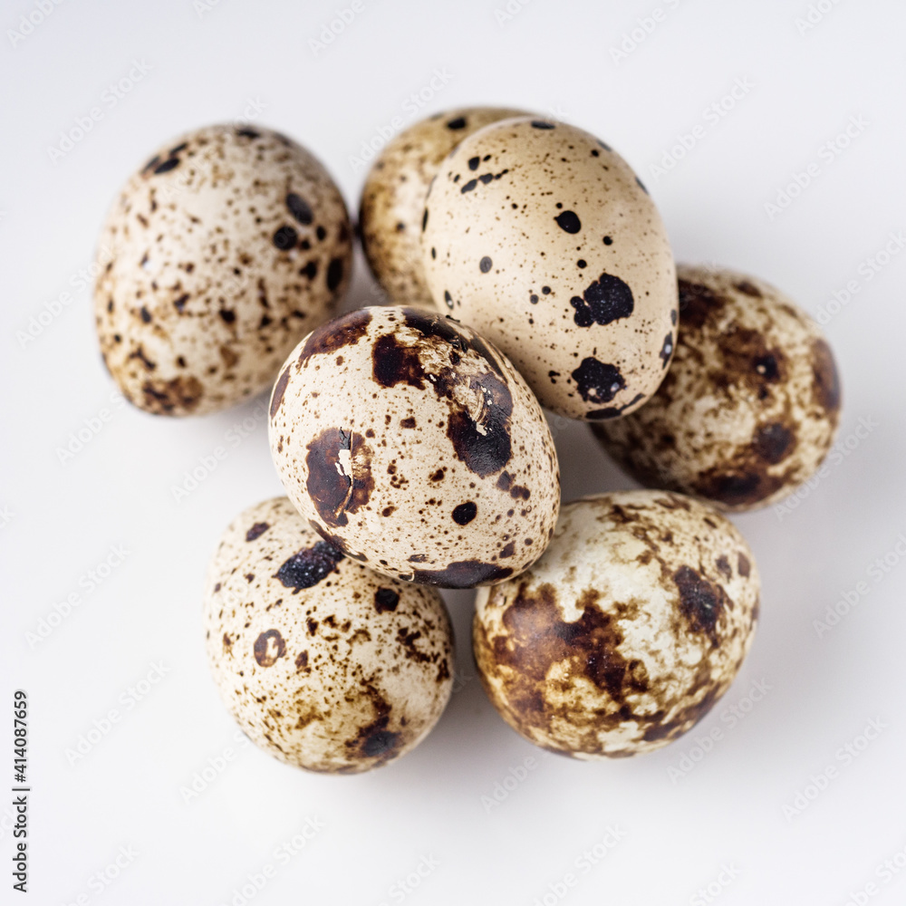 fresh quail eggs on a white acrylic background fresh quail eggs on a white acrylic background
