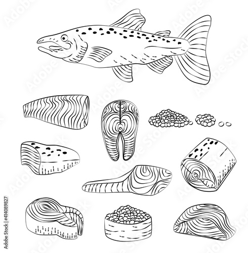 Hand drawn Salmon fish sketch engraving steaks slices. Salmon fish cut parts for cooking recipe. Black and white hand drawn illustration