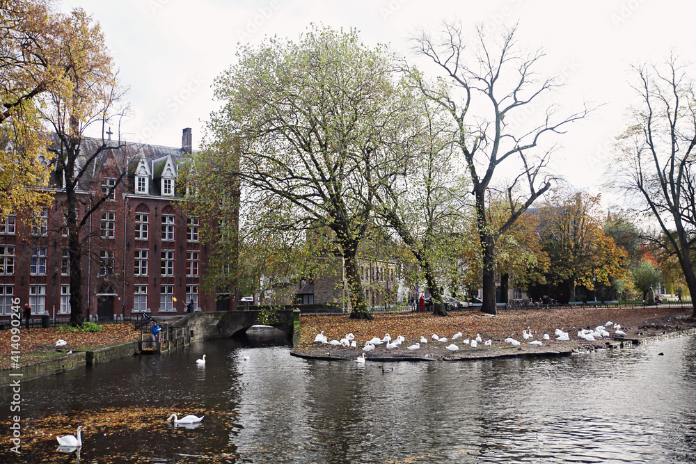 A beautiful view from Bruges with buildings and canals A beautiful view from Bruges with buildings and canals