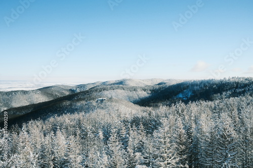 Kalte Winterlandschaft im Harz mit blauem Himmel © ohenze