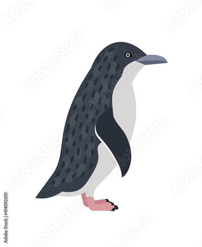 Antarctic penguin. Cartoon mammal of winter nature, bird living on iceberg, symbol of cold, vector illustration of emperor penguin isolated on white background