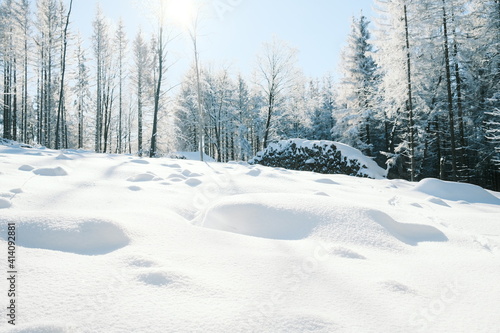 Schöne Winterlandschaft im Harz
