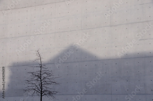 Schatten des Reichstages am Paul-Löbe-Haus und kahler Baum