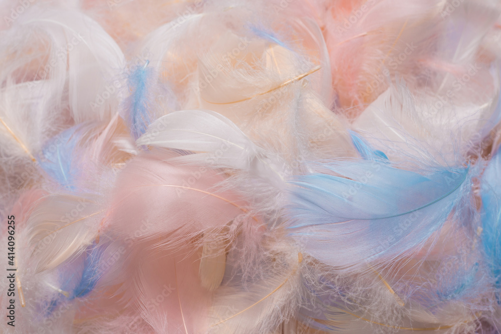 Colorful feather background, top view. Colorful feather background, top view.