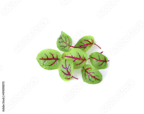 red sorrel leaves isolated on white background