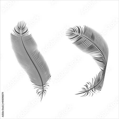 bird feather pen isolated silhouette design vector illustration