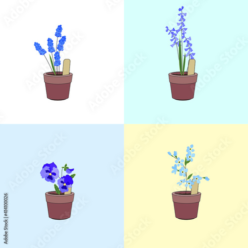 Set with different flowers. Different sorts and color.