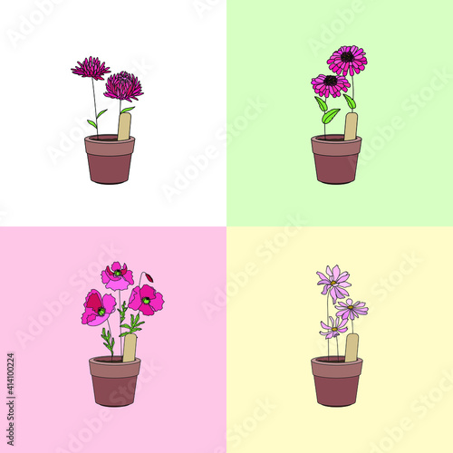 Set with different flowers. Different sorts and color.
