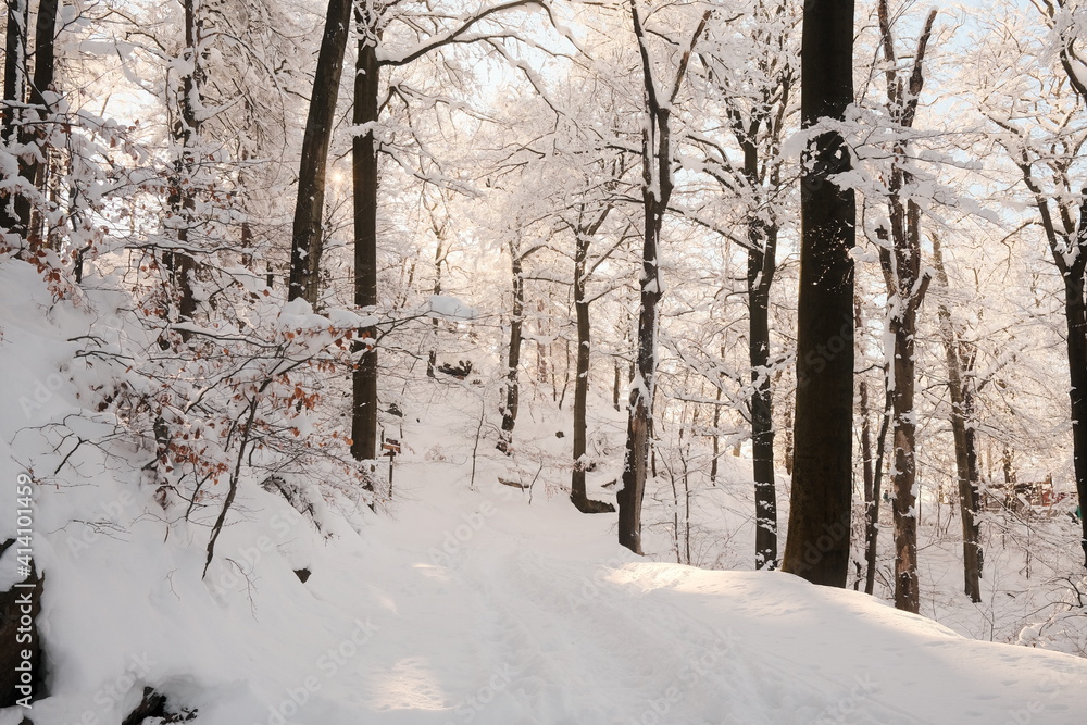 Warmer Sonnenschein im kalten Winterwald Warmer Sonnenschein im kalten Winterwald