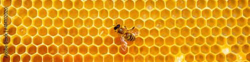 Beautiful honeycomb with bees close-up. A swarm of bees crawls through the combs collecting honey. Beekeeping, wholesome food for health. © Vera