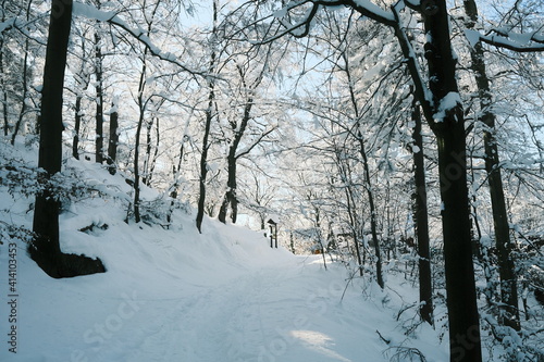 Schneewanderung durch den Wald