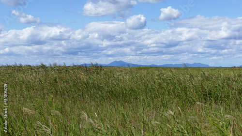 稲敷市西ノ洲より筑波山