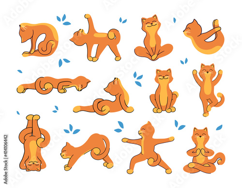 The collection of cats who are doing yoga to be healthy.