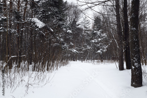Snow covered city park with...