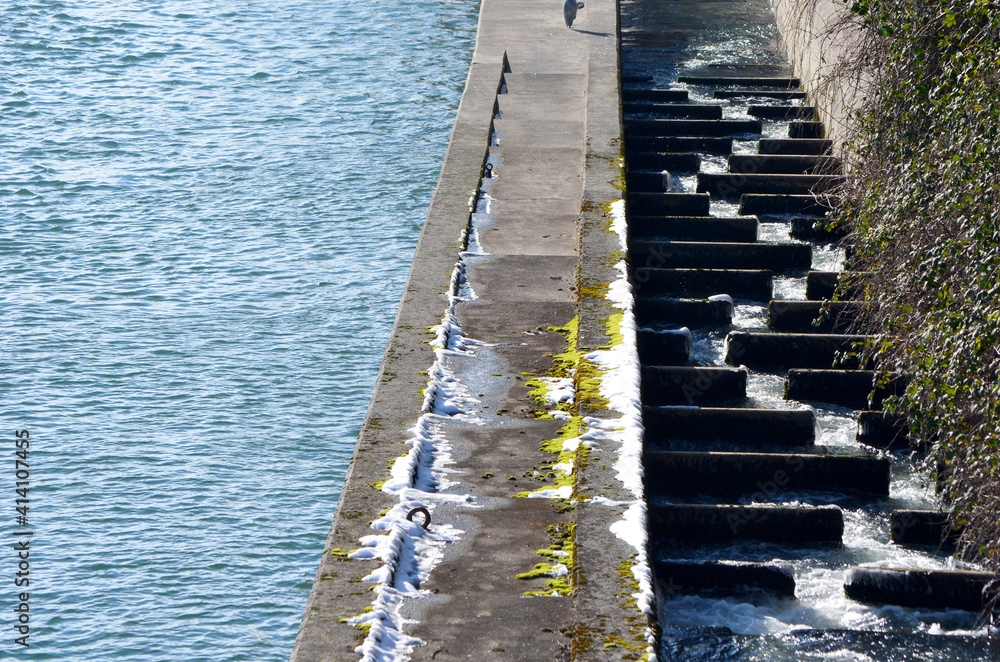 Fototapeta premium Echelle à poisson dans le Rhin à Bâle
