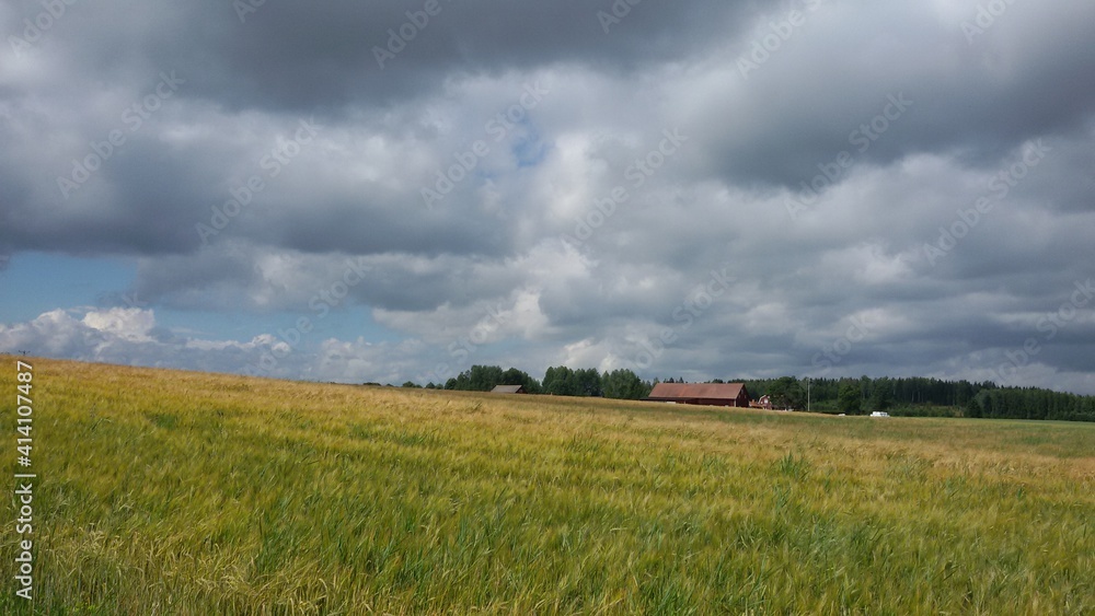 предгрозовое небо предгрозовое небо