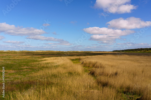 Wide view over the salt meadows near St. Peter Ording in front of a blue sky