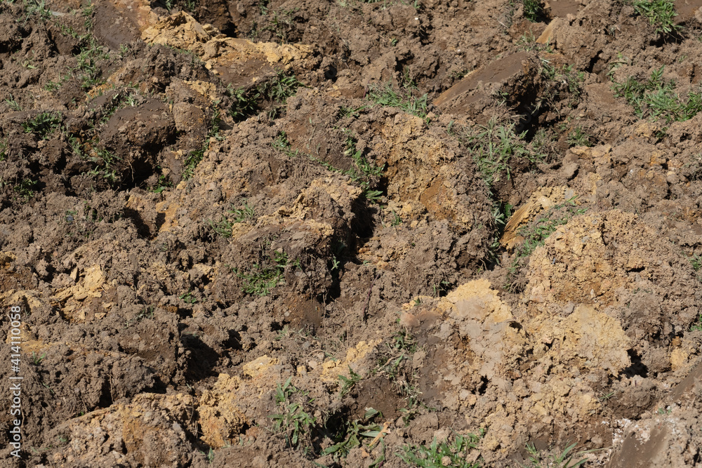 Top soil for plants in sunny day Top soil for plants in sunny day