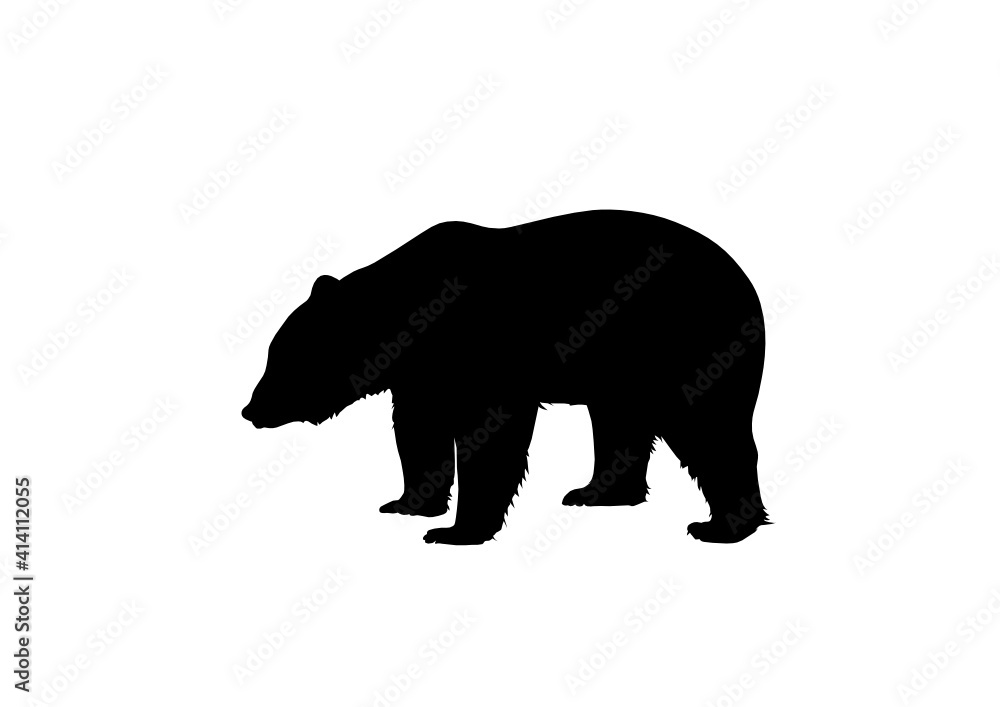 Fototapeta premium Silhouette Orso Bruno