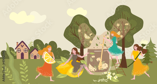 People collecting tea herb  woman carry orange lemon dance with chamomile cartoon vector illustration. Rural view background forest and country house  organic natural herbal drink.