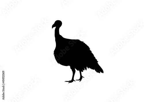 Silhouette Tacchino
