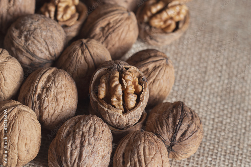 Walnuts lie on a sacking cloth whole and split Walnuts lie on a sacking cloth whole and split