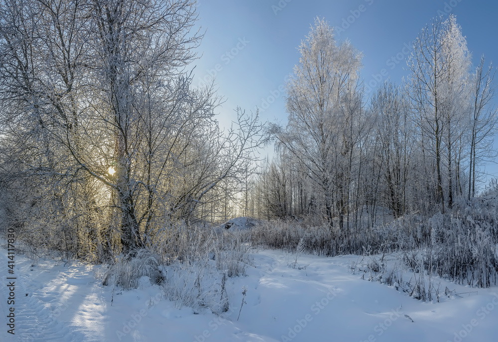 Winter landscape with frost and snow. Winter landscape with frost and snow.